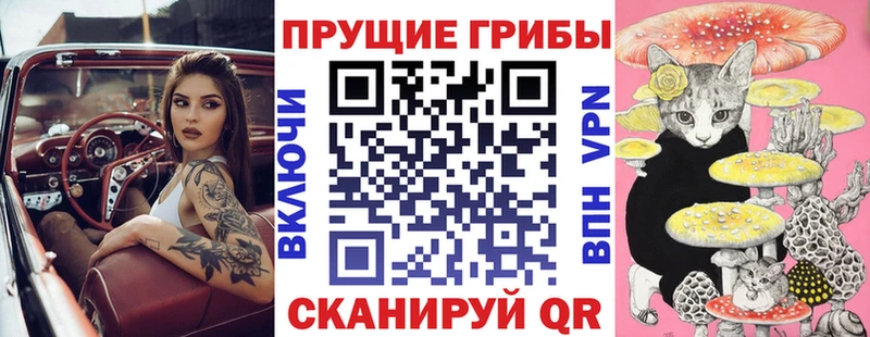 где купить наркотик  Котовск  мориарти состав  Псилоцибиновые грибы GOLDEN TEACHER 